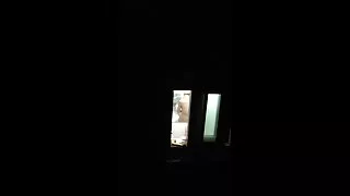 სუსტი, მწვრთნელი.