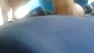 პლასტიკური ქირურგი ხარ გოგო.